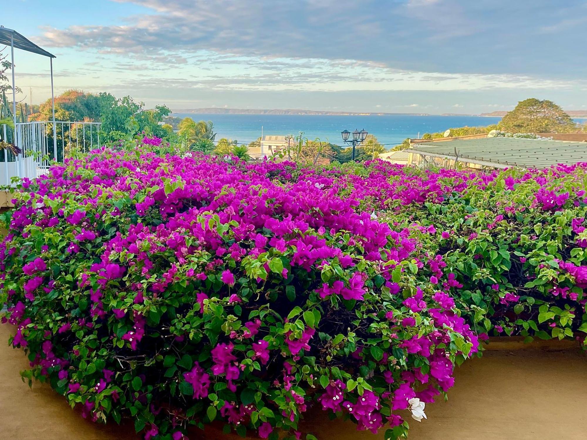 Le Jardin Exotique Hotel Antsiranana Exterior foto